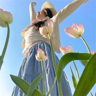 莫哈维沙漠